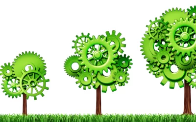 Morbi nec auctor urna